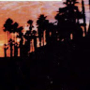 Meet your Posher, Delilah